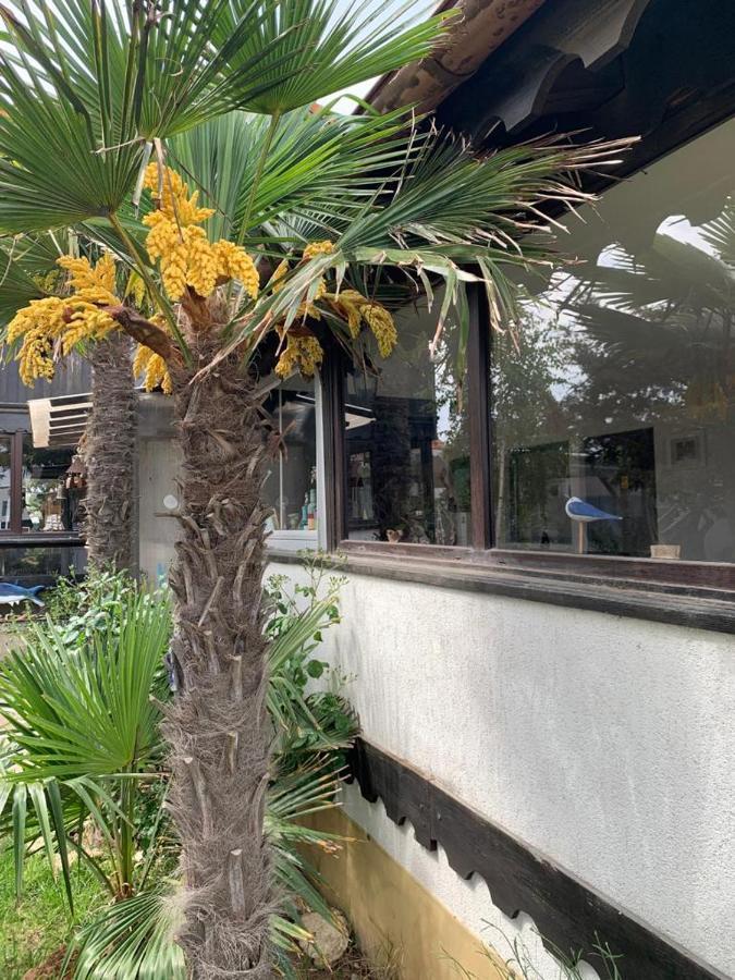 Hotel La Doi Pasi De Mare Vama Veche Zewnętrze zdjęcie