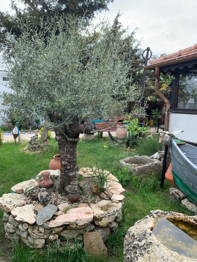 Hotel La Doi Pasi De Mare Vama Veche Zewnętrze zdjęcie
