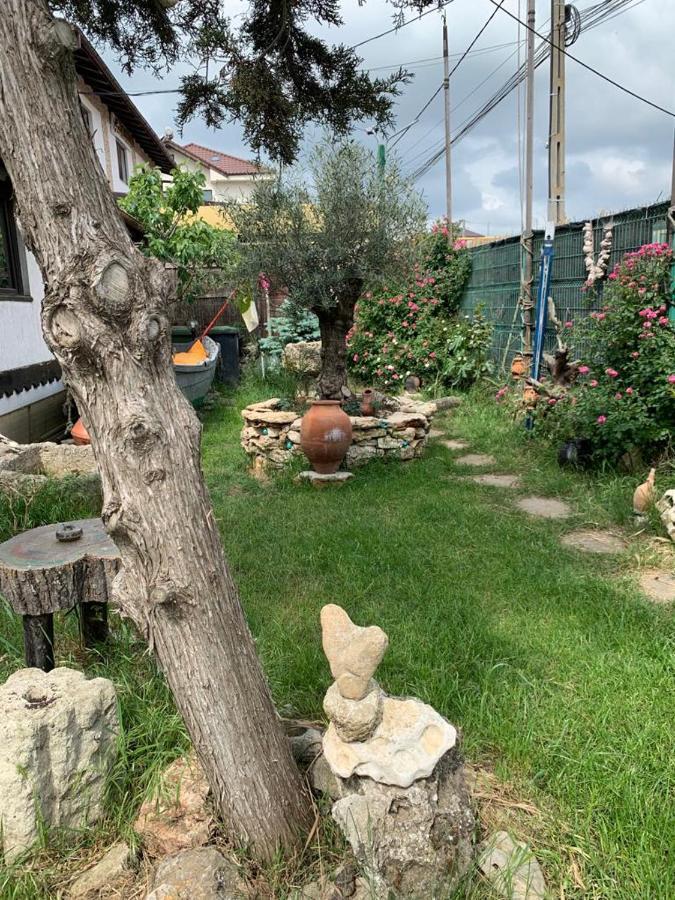 Hotel La Doi Pasi De Mare Vama Veche Zewnętrze zdjęcie