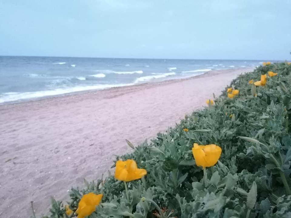 Hotel La Doi Pasi De Mare Vama Veche Zewnętrze zdjęcie