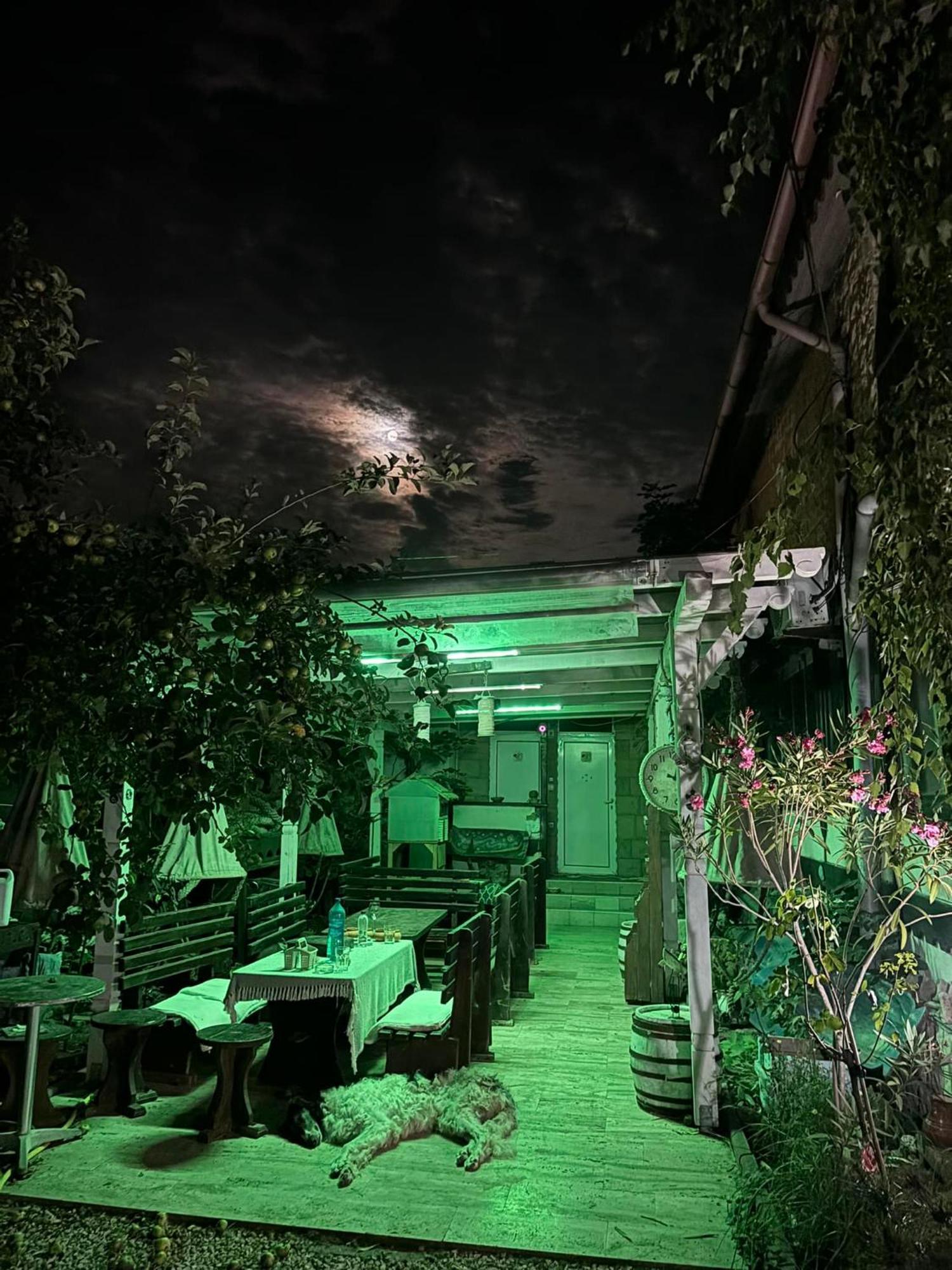 Hotel La Doi Pasi De Mare Vama Veche Zewnętrze zdjęcie